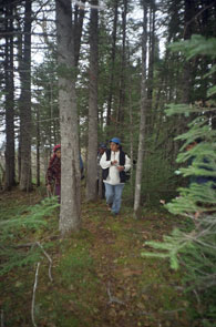 Margaret Mark walks along a trail at the location of her 1969 camp at Ushkan-shipiss. Photo courtesy Peter Armitage.