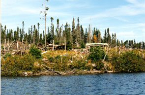 Innu camp site, cache of stoves (left) and canoes (right), and cutting firewood in recent years, archaeological survey. Photo courtesy Fred Schwarz.