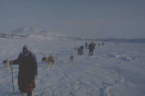 Innu families crossing Kauinipishit namesh, Tshipaish (Nishapet Napeu) in front. Photo courtesy Georg Henriksen.