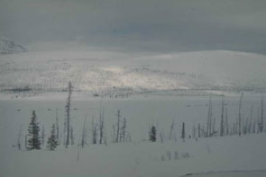 Six dogteams and Innu families heading toward the coast at Mishti-Shuapi. Photo courtesy Georg Henriksen.