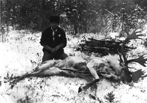 Tshani Rich cleaning a caribou near Nakapishku-nipi. Photo courtesy Tony Jenkinson.