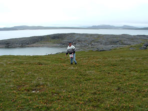 Mike Edmunds picking bakeapples at Mishta-minishtiku. Photo courtesy Manishan Edmunds.