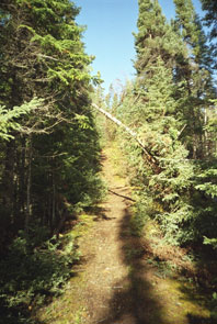 The old portage to avoid the falls by Manitu-utshu. Photo courtesy Peter Armitage.