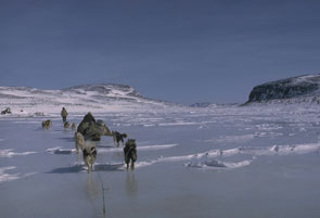 Tepit Rich and his dog team at Kapashkuat. Photo courtesy Georg Henriksen.