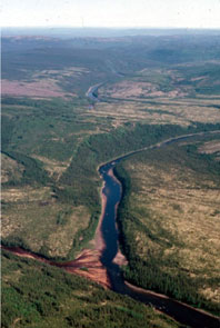 View of Uapishtan-shipiss entering Mishikamau-shipu. Atshiku-nipi barely visible in the distance. View to the north. Photo courtesy Stephen Loring.