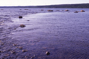 Ripples at the outlet of Ashtunekamiku. Photo courtesy Kevin McAleese.