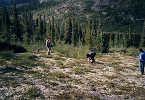 John Jack (blue shirt) supervises mineral exploration work near Kakassipishuniakamat. Photo courtesy Gerry Penney.