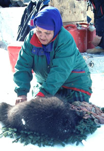 Sheshin Rich cleaning a porcupine at Emish. Photo courtesy Kanishte Poker.