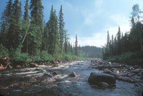 View upstream along Pekissiu-shipu. Photo courtesy Troy M. Gipps ©.