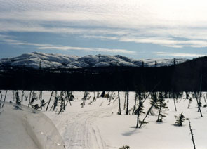 On the trail across Mishta-masseku to Akamiuapishku. Photo courtesy Peter Armitage.