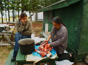 Naissa Penashue butchers a beaver while An-Manikanet Penashue observes. Photo courtesy Peter Armitage.