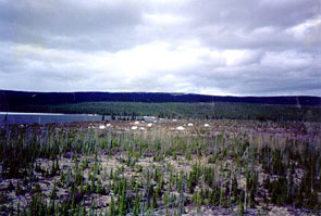 Nuke camp at the end of Ashuapamatikuan. Photo courtesy Tepit Nuke.