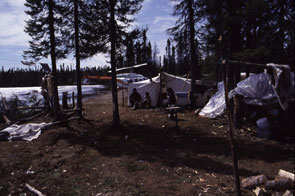 Nui and Maniaten Penashue's camp at Maikan-nipi. Photo courtesy Peter Armitage.